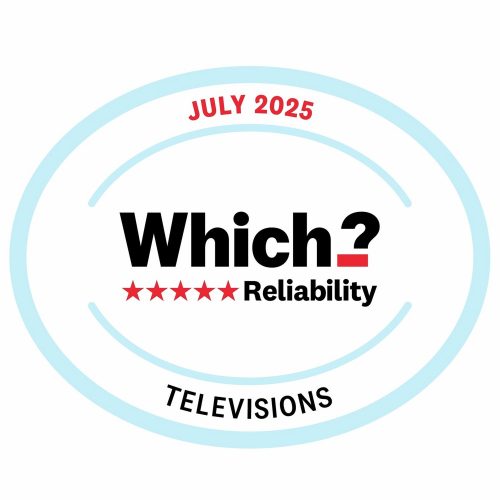 Sony 32 Inch KD32W800P1U Smart HD Ready LED Freeview TV - Image 2