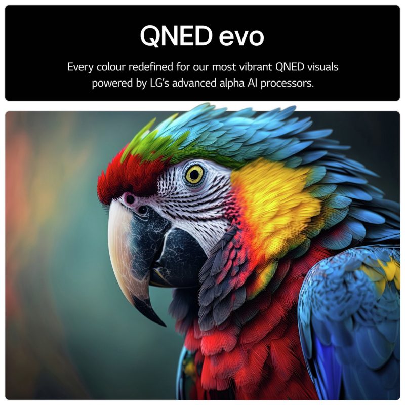 LG 55 Inch 55QNED87A6B Smart 4K UHD HDR QNED TV