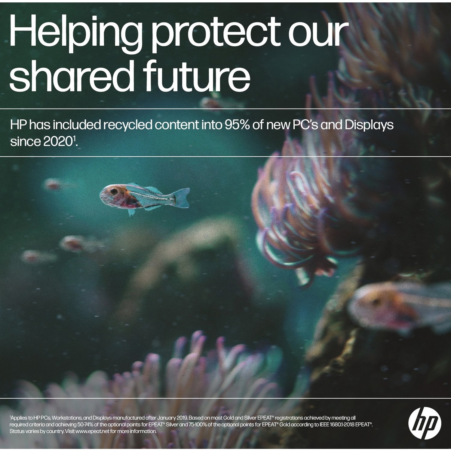 HP BM2X8EA 17.3in N100 4GB 128GB - Black — 17.3" IPS, 4 GB RAM, 128GB - Image 3